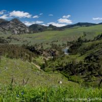 Switchbacks near the Hellroaring Creek trailhead in Yellowstone National Park offer expansive views of Hellroaring Mountain, Buffalo Plateau and the Yellowstone River. (photo © Sandy Sisti - click to enlarge)