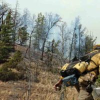 Fire danger in Yellowstone and Grand Teton national parks is high or very high going into the Fourth of July. (Ruffin Prevost/Yellowstone Gate file photo - click to enlarge)