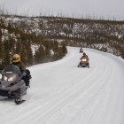 Commercial snowmobile guide John Davis leads visitors through Yellowstone National Park during a 2007 day trip.