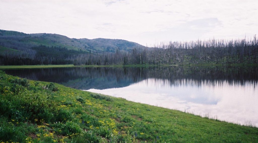 Cascade Lake is an easy hike from a roadside picnic area north of Canyon. You might catch trout in Cascade Lake or spot moose in the marshy areas nearby. (Ruffin Prevost/Yellowstone Gate - click to enlarge)