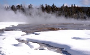 Relatively warm waters in the Lower Geyser Basin in Yellowstone National Park are clear of snow and ice despite a recent winter storm. (Ruffin Prevost/Yellowstone Gate - click to enlarge)