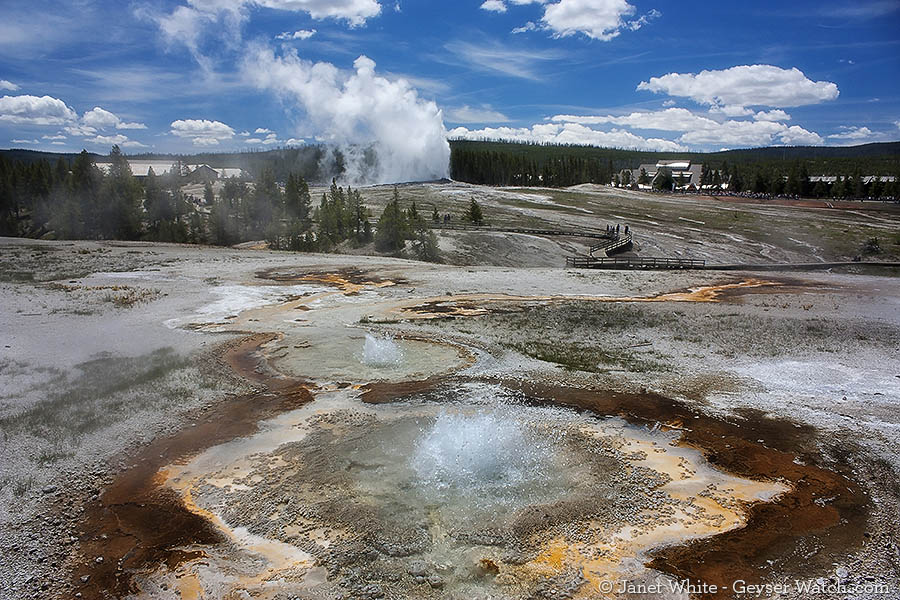 Anemone Geyser in Yellowstone National Park