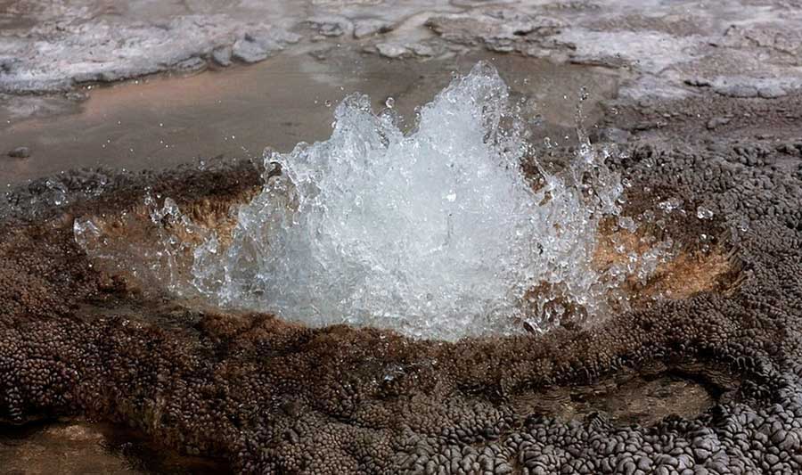 Aurum Geyser is one of many thermal features in Yellowstone National Park powered by geologic forces active since the first Yellowstone supervolacno eruptions, dating back millions of years. (Janet White - click to enlarge)