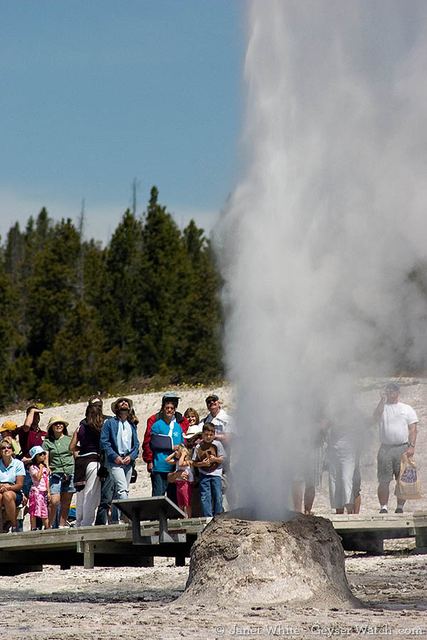Beehive Geyser in Yellowstone National Park