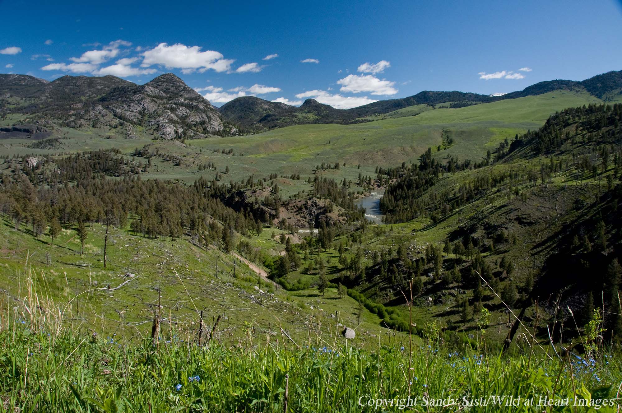 Switchbacks near the Hellroaring Creek trailhead in Yellowstone National Park offer expansive views of Hellroaring Mountain, Buffalo Plateau and the Yellowstone River. (photo © Sandy Sisti - click to enlarge)