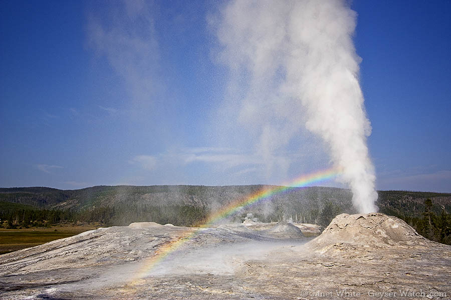 Lion Geyser in Yellowstone National Park