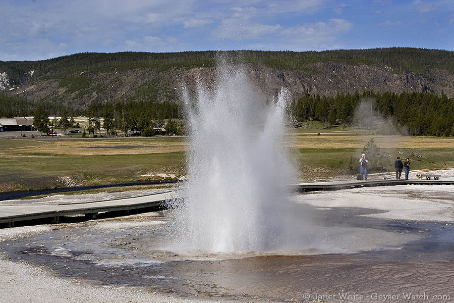 Plume Geyser in Yellowstone National Park