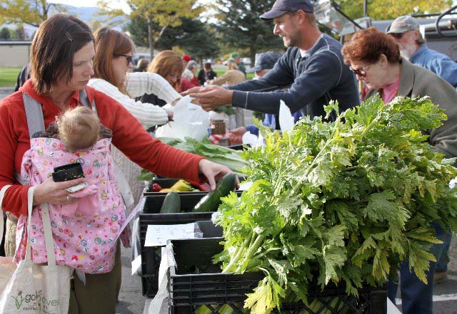 Cody resident Amy Quick browses produce offered by Shoshone River Farm at a farmers' market in Cody, Wyo. (Elijah Cobb/click to enlarge)