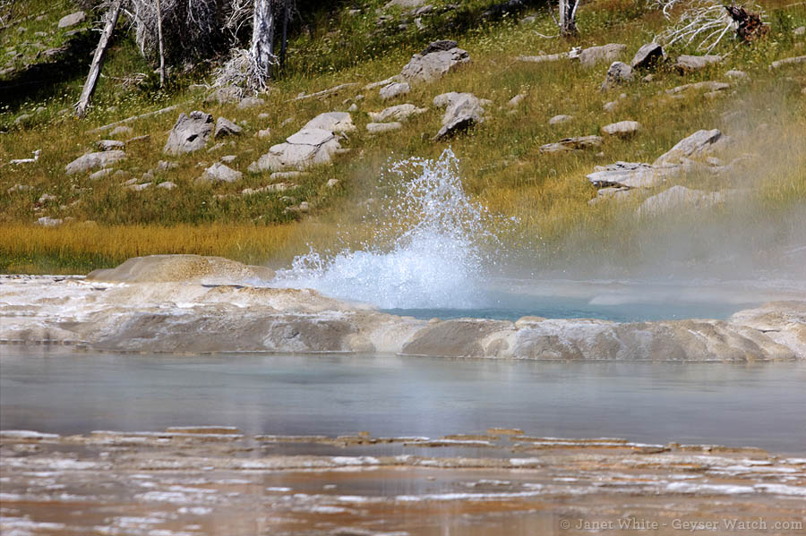 A splash from Turban Geyser above Grand Geyser's pool in the foreground. (©Janet White - click to enlarge)