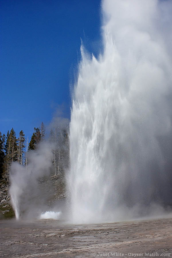 Grand Geyser is less predictable than Old Faithful, but possibly the grandest geyser in Yellowstone Park. (photo ©Janet White - click to enlarge)