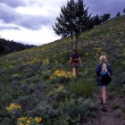 Yellowstone hikes — Lamar Valley