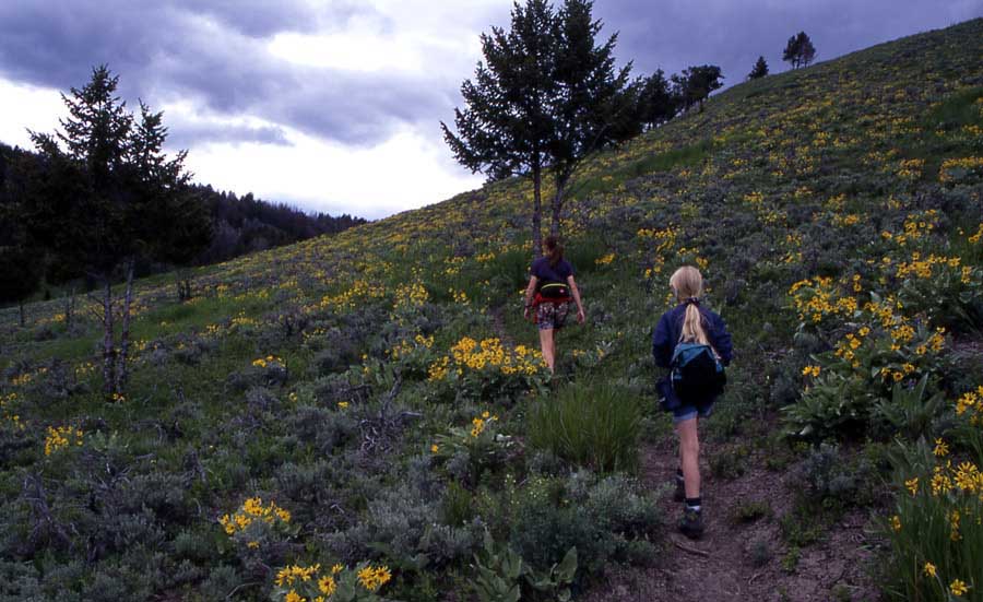 Yellowstone hikes — Rescue Creek Trail