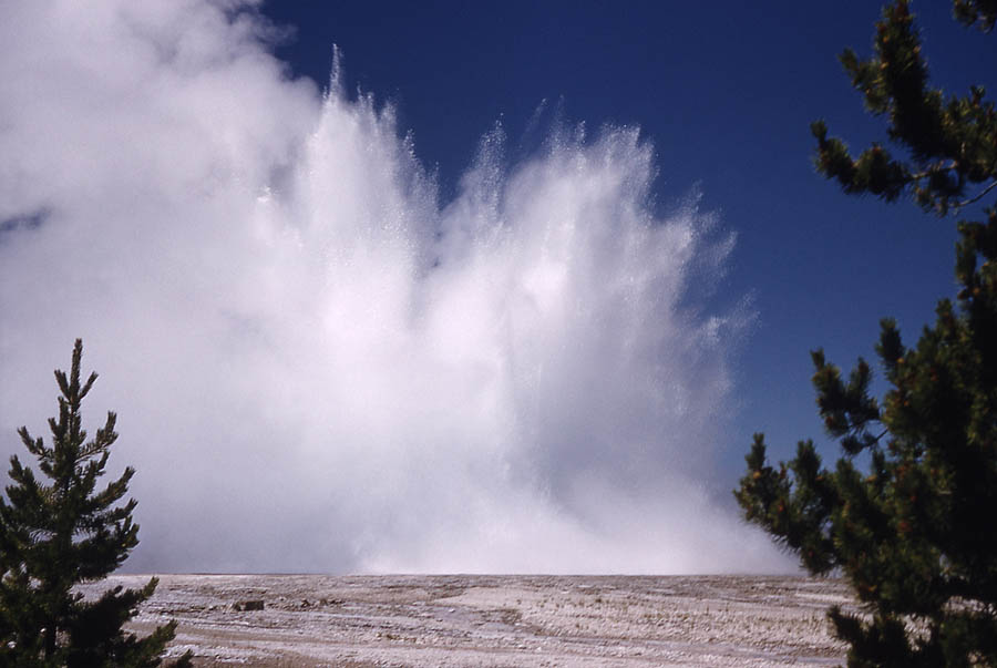 Morning Geyser in Eruption in 1959 - NPS Photo by Park Geologist, George Marler