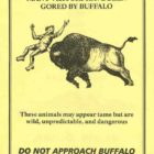 The National Park Service issues bright yellow flyers warning of bison gorings to every Yellowstone National Park visitor at entry. (NPS image - click to enlarge)