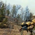 Fire danger in Yellowstone and Grand Teton national parks is high or very high going into the Fourth of July. (Ruffin Prevost/Yellowstone Gate file photo - click to enlarge)