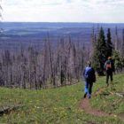 Hikers walk along a trail in Yellowstone National Park. (Jim Peaco - click to enlarge)