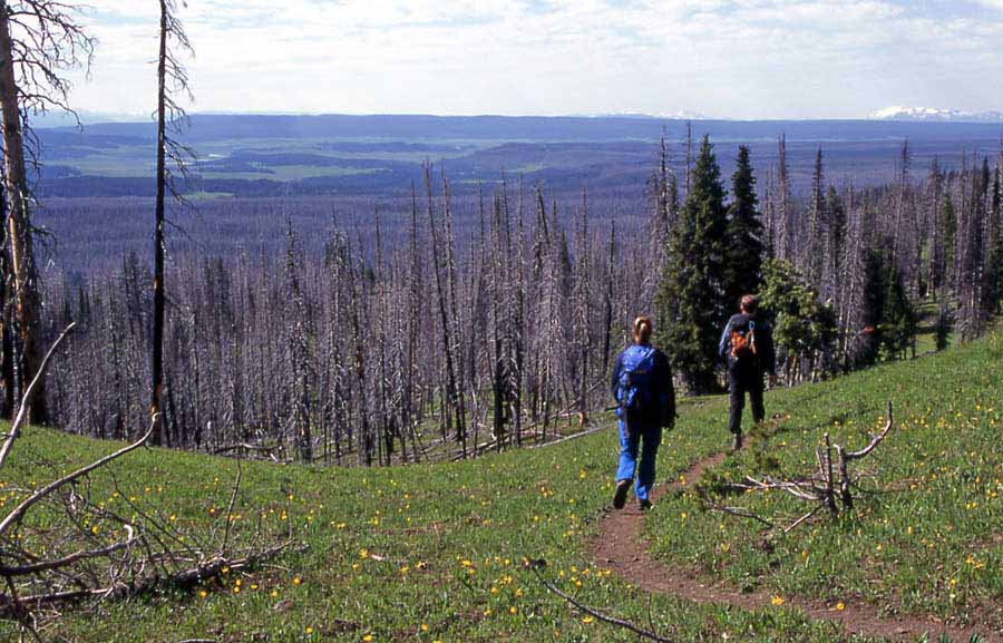 Hikers walk along a trail in Yellowstone National Park. (Jim Peaco - click to enlarge)