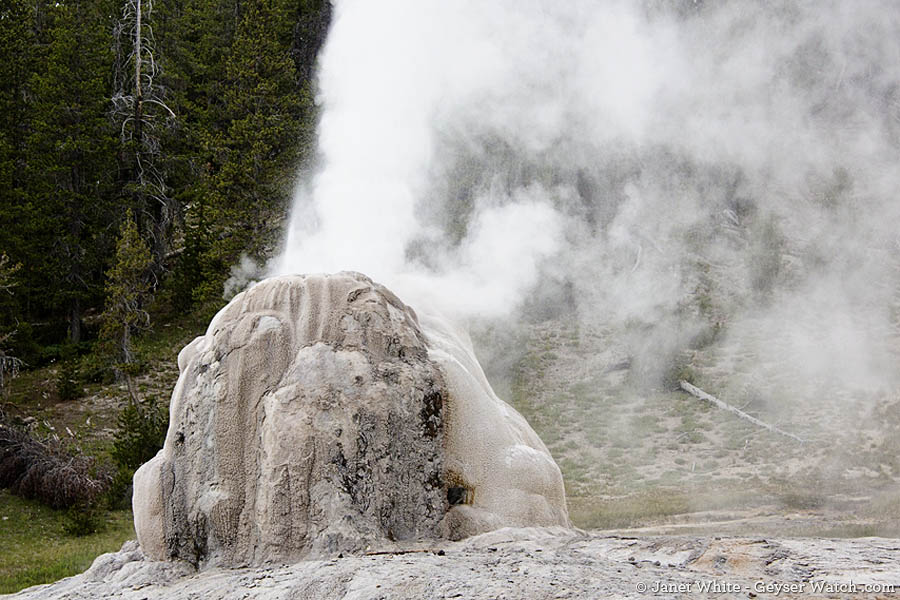 Lone Star Geyser erupts