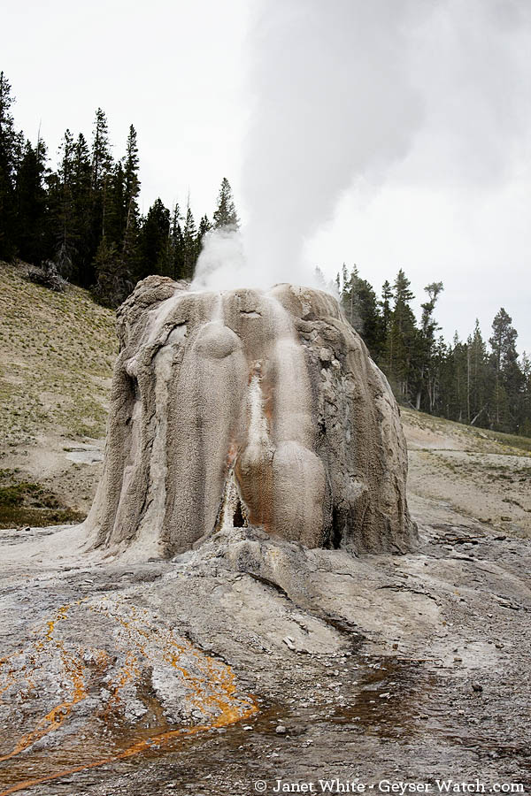 Lone Star Geyser erupts