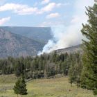 The Blacktail Fire in Yellowstone National Park covers about 15 acres and is burning near the Montana-Wyoming border between Mammoth Hot Springs and Tower Junction. (Inciweb photo - click to enlarge)