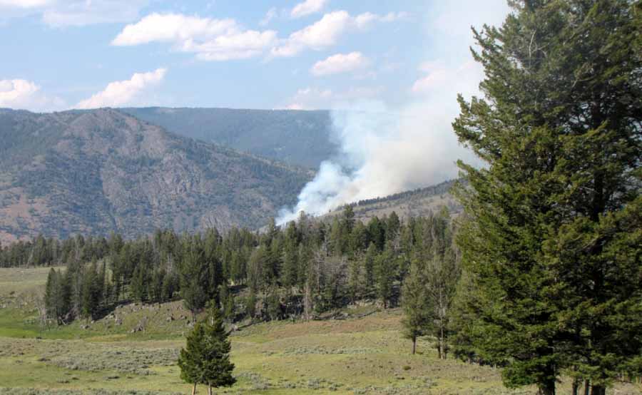 blacktail-fire The Blacktail Fire in Yellowstone National Park covers about 15 acres and is burning near the Montana-Wyoming border between Mammoth Hot Springs and Tower Junction. (Inciweb photo - click to enlarge)