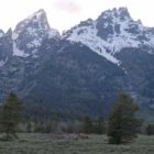 Roads and facilities in Grand Teton National Park begin opening May 1.