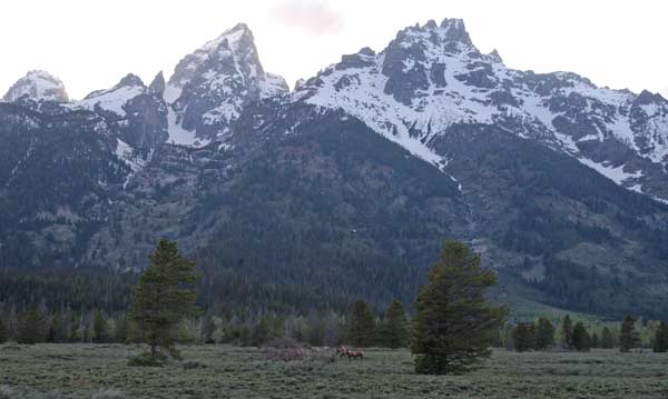 Roads and facilities in Grand Teton National Park begin opening May 1.