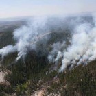 The Dewdrop Fire in Yellowstone National Park was discovered July 29 burning in the backcountry nine miles southeast of Canyon. It spans approximately 63 acres.