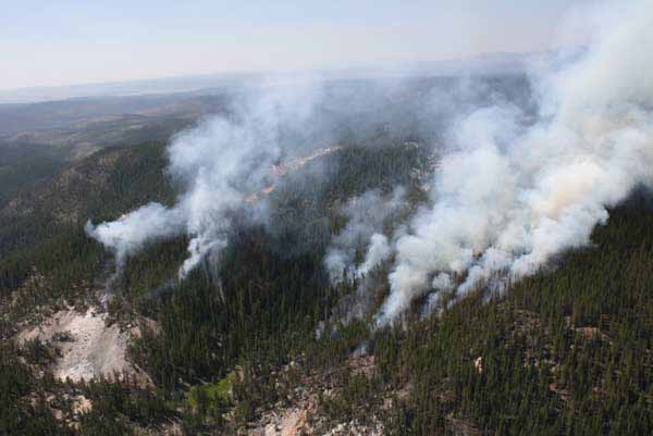 The Dewdrop Fire in Yellowstone National Park was discovered July 29 burning in the backcountry nine miles southeast of Canyon. It spans approximately 63 acres.