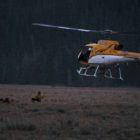 A search and rescue helicopter lands at the Jenny Lake rescue cache near Lupine Meadows in Grand Teton National Park in this 2012 file photo, after completing a short-haul extraction of an imperiled climber from the Teewinot Mountain area.