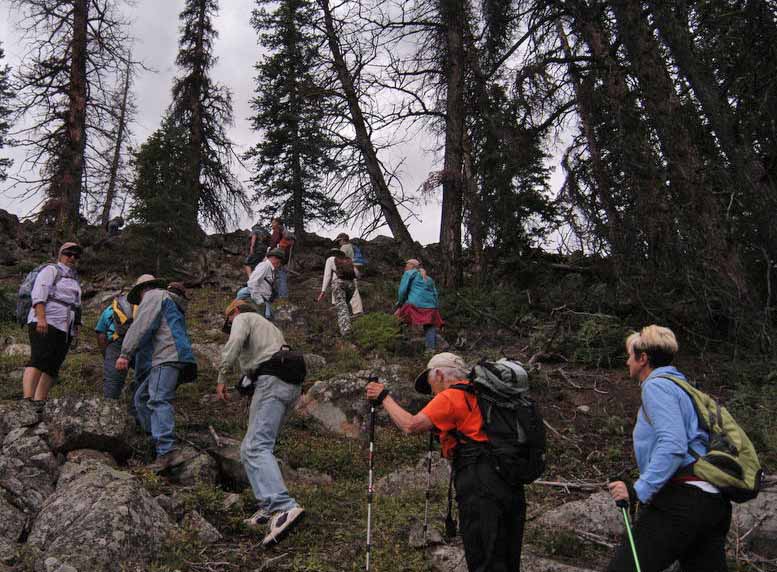 A group participtating in a field trip to the Wood River area of the Shohone Forest in northwestern Wyoming hikes through a stand of trees east of Yellowstone Park where researchers are working to learn more about the natural and human history of the region. (Ruffin Prevost/Yellowstone Gate - click to enlarge)