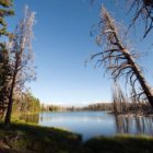 At an elevation of about 9,000 feet and 3.5 miles from an established trail, Mirror Lake on Yellowstone’s Mirror Plateau is one of the park’s more remote destinations. (Bradly J. Boner/WyoFile — click to enlarge)