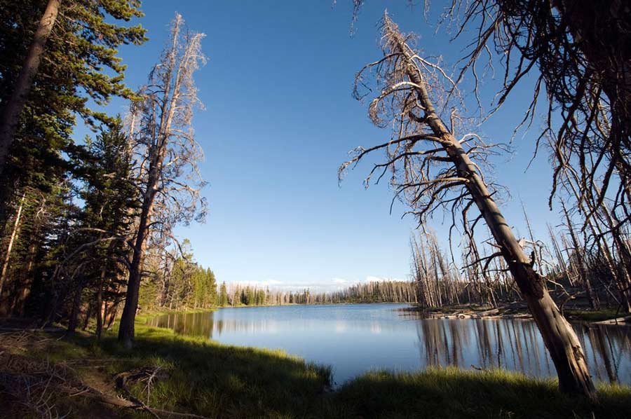 At an elevation of about 9,000 feet and 3.5 miles from an established trail, Mirror Lake on Yellowstone’s Mirror Plateau is one of the park’s more remote destinations. (Bradly J. Boner/WyoFile — click to enlarge) 