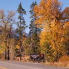 The East Gate of Yellowstone National Park is surrounded by colorful fall leaves.