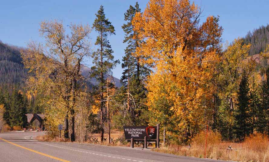 The East Gate of Yellowstone National Park show is surrounded by colorful fall leaves. (Ruffin Prevost/Yellowstone Gate - click to enlarge)