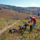 Deb Ehlers tends to her dogs, Kirwin and Maggie, on the Huckleberry Mountain trail in the Bridger-Teton National Forest. (Tom Ehlers, Jr. - click to enlarge)