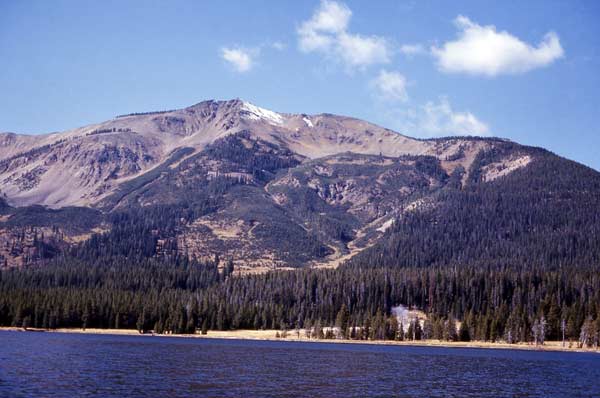 Beavers have flooded trails in the area around Heart Lake and Sheridan Mountain in Yellowstone National Park.