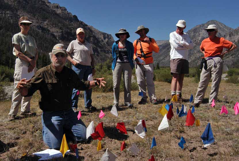 Archaeologist Larry Todd, kneeling, shows dozens of artifacts marked with small flags in the Shoshone National Forest during a July field trip sponsored by the Greater Yellowstone Coalition. (Ruffin Prevost/Yellowstone Gate - click to enlarge)