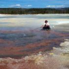 Researchers have used detailed genetic analyses to identify novel microbes found in the Norris Geyser Basin of Yellowstone National Park. (YNP photo)