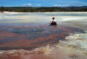 Researchers have used detailed genetic analyses to identify novel microbes found in the Norris Geyser Basin of Yellowstone National Park. (YNP photo)