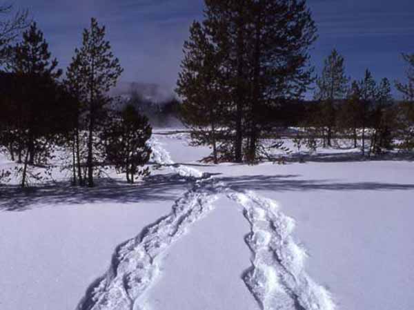 Grand Teton National Park rangers will offer daily snowshoe hikes this winter, as well as special full-moon hikes on selected days.