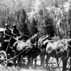 Horse-drawn coaches were the common method for travel in the early days of Yellowstone National Park. (Yellowstone Digital Slide File - click to enlarge)