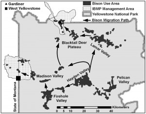 Yellowstone National Park bison migration routes. (NPS graphic)