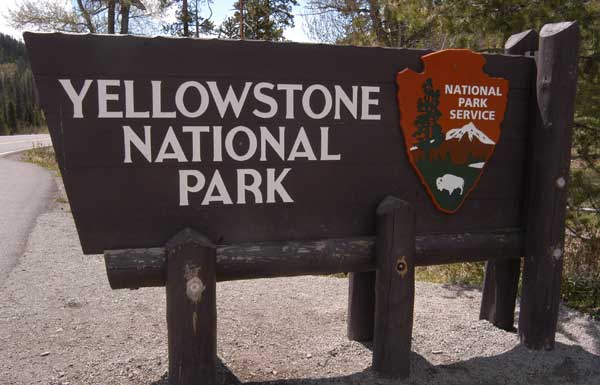 A highly contagious virus has sickened and estimated 200 people in Yellowstone and Grand Teton national parks.
