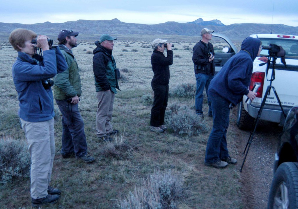 Destin Harrell, a wildlife biologist with the Bureau of Land Management, second from left, helps bird-watchers find sage grouse last week on a Spring Into Yellowstone excursion east of Cody, Wyo. (Ruffin Prevost/Yellowstone Gate)