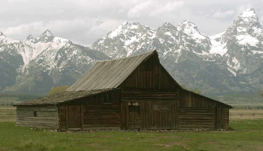 Spring grass grows in front of an old barn on Mormon Row in Grand Teton National Park. (Ruffin Prevost/Yellowstone Gate)