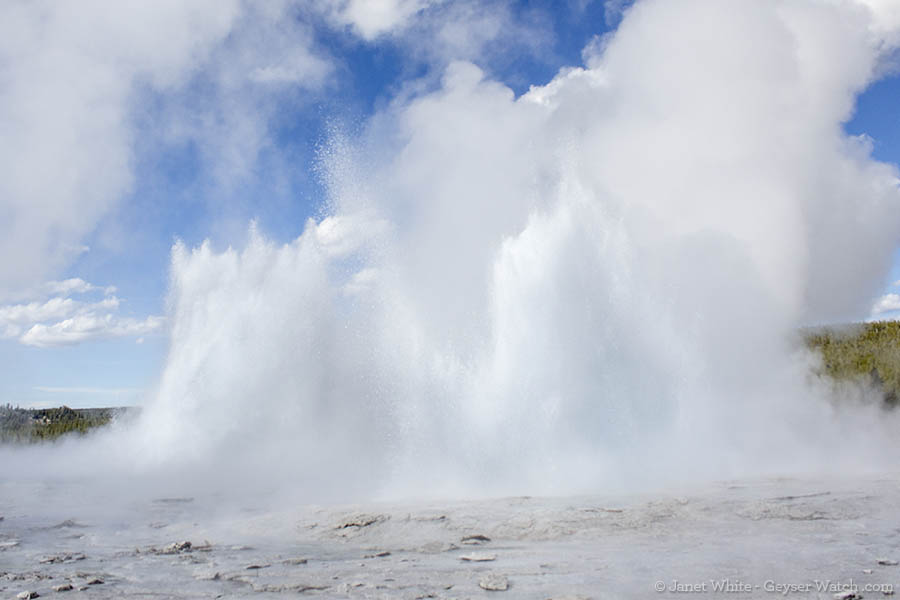 Morning Geyser (left) and Fountain Geyser (right) erupt together on June 5, 2013. (Janet White/GeyserWatch.com)