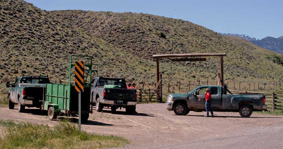 Specialists with the Wyoming Game and Fish Department begin efforts Thursday morning to trap a grizzly bear that attacked a man southwest of Cody, Wyoming. (Ruffin Prevost/Yellowstone Gate)