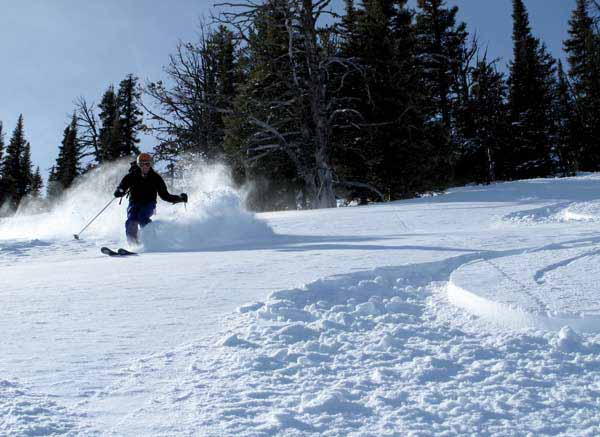 A skier makes fresh tracks in new powder at the Bridger Bowl Ski Area near Bozeman, Mont. (courtesy photo by Montana Office of Tourism)