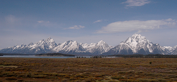 The Tetons rise in the distance beyond Willow Flats as viewed from Jackson Lake Lodge in Grand Teton National Park. (Ruffin Prevost/Yellowstone Gate)